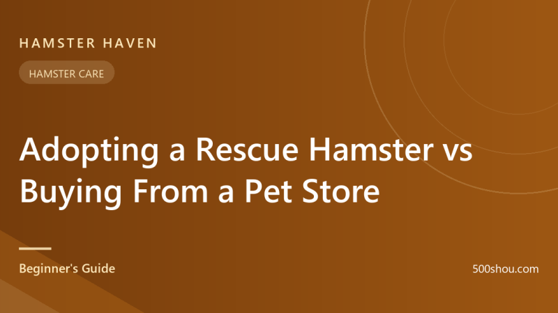 Adopting a Rescue Hamster vs Buying From a Pet Store