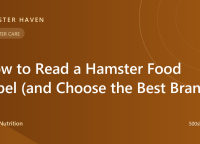 How to Read a Hamster Food Label (and Choose the Best Brand)