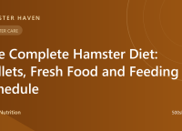 The Complete Hamster Diet: Pellets, Fresh Food & Feeding Schedule
