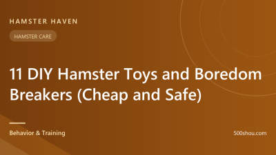 11 DIY Hamster Toys and Boredom Breakers (Cheap and Safe)