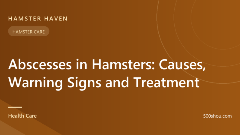 Abscesses in Hamsters: Causes, Warning Signs and Treatment