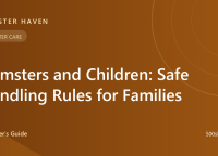 Hamsters and Children: Safe Handling Rules for Families