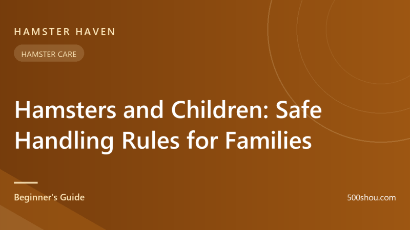 Hamsters and Children: Safe Handling Rules for Families