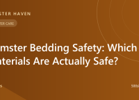 Hamster Bedding Safety: Which Materials Are Actually Safe?