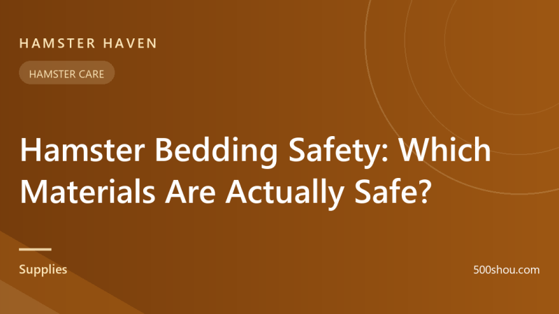 Hamster Bedding Safety: Which Materials Are Actually Safe?
