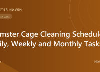 Hamster Cage Cleaning Schedule: Daily, Weekly and Monthly Tasks