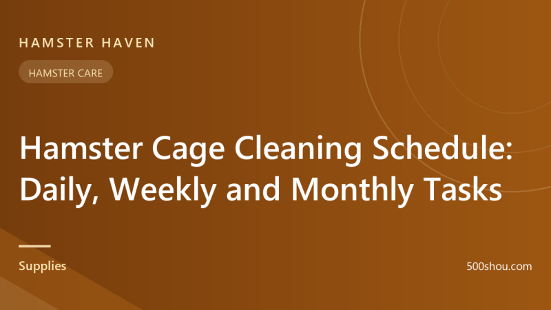 Hamster Cage Cleaning Schedule: Daily, Weekly and Monthly Tasks