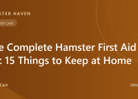 The Complete Hamster First Aid Kit: 15 Things to Keep at Home