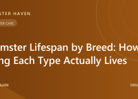 Hamster Lifespan by Breed: How Long Each Type Actually Lives