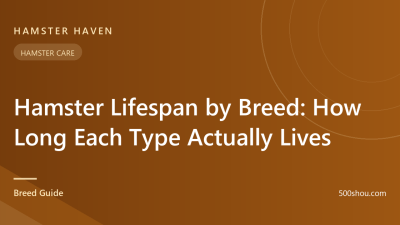 Hamster Lifespan by Breed: How Long Each Type Actually Lives
