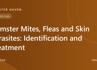 Hamster Mites, Fleas and Skin Parasites: Identification and Treatment