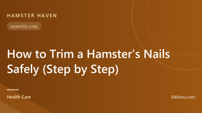 How to Trim a Hamster's Nails Safely (Step by Step)