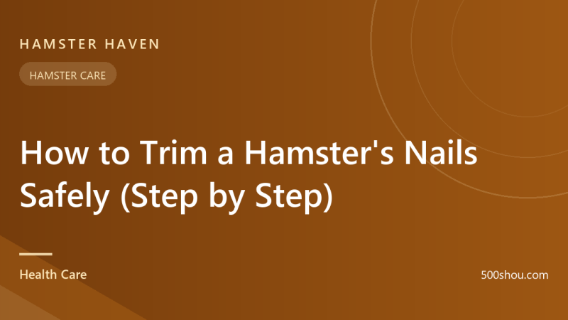 How to Trim a Hamster's Nails Safely (Step by Step)