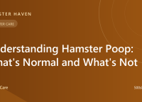 Understanding Hamster Poop: What's Normal and What's Not