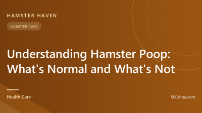 Understanding Hamster Poop: What's Normal and What's Not