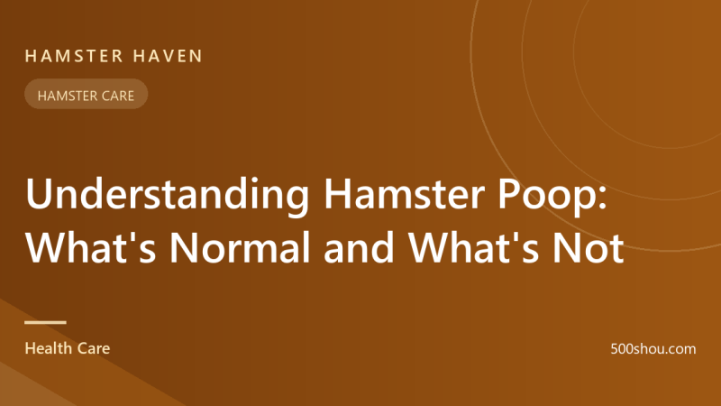 Understanding Hamster Poop: What's Normal and What's Not