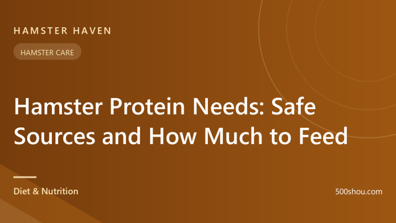 Hamster Protein Needs: Safe Sources and How Much to Feed