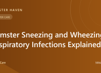 Hamster Sneezing and Wheezing: Respiratory Infections Explained