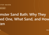 Hamster Sand Bath: Why They Need One, What Sand, and How Often