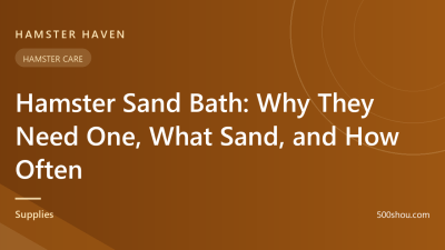Hamster Sand Bath: Why They Need One, What Sand, and How Often