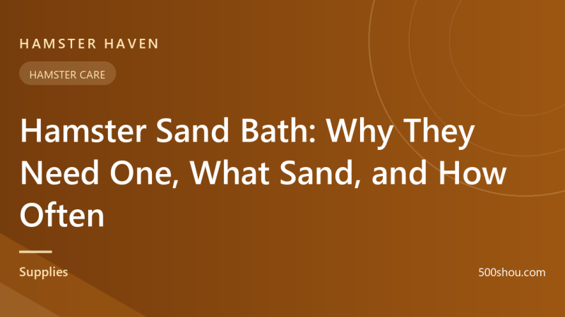 Hamster Sand Bath: Why They Need One, What Sand, and How Often