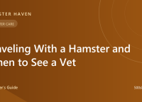 Traveling With a Hamster and When to See a Vet