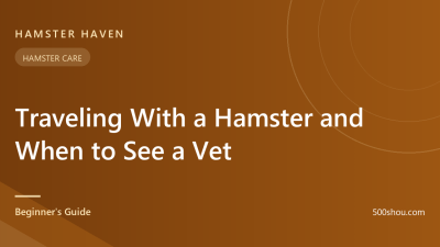 Traveling With a Hamster and When to See a Vet