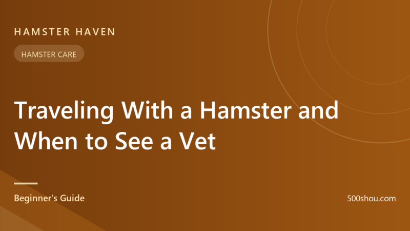 Traveling With a Hamster and When to See a Vet