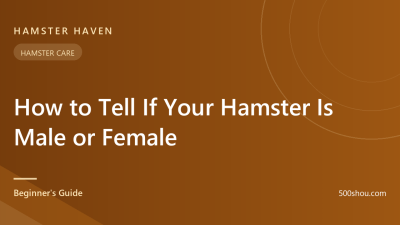 How to Tell If Your Hamster Is Male or Female