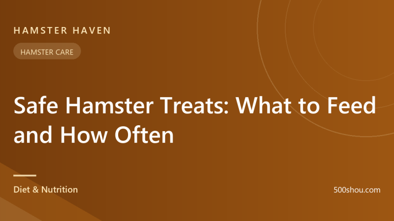 Safe Hamster Treats: What to Feed and How Often
