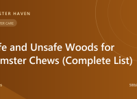 Safe and Unsafe Woods for Hamster Chews (Complete List)