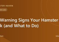 12 Warning Signs Your Hamster Is Sick (and What to Do)