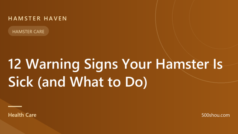 12 Warning Signs Your Hamster Is Sick (and What to Do)