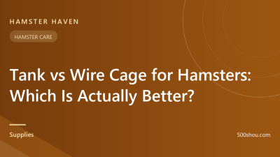 Tank vs Wire Cage for Hamsters: Which Is Actually Better?