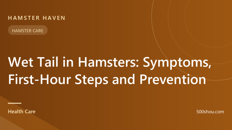 Wet Tail in Hamsters: Symptoms, First-Hour Steps & Prevention