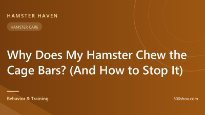 Why Does My Hamster Chew the Cage Bars? (And How to Stop It)